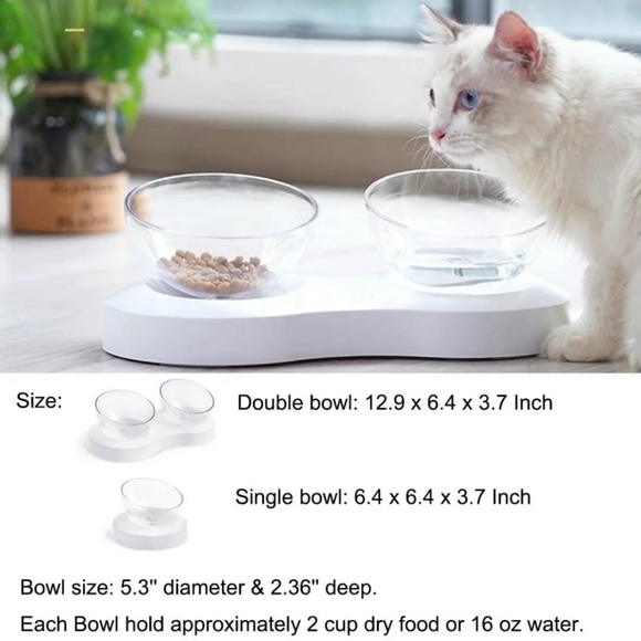 FOREYY Elevated Raised Pet Bowls for Cats & Small Dogs Stand Feeder 20° Tilt - Picture 9 of 10